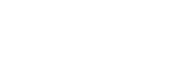 StrayStudios_Header_Logo-10-10-10